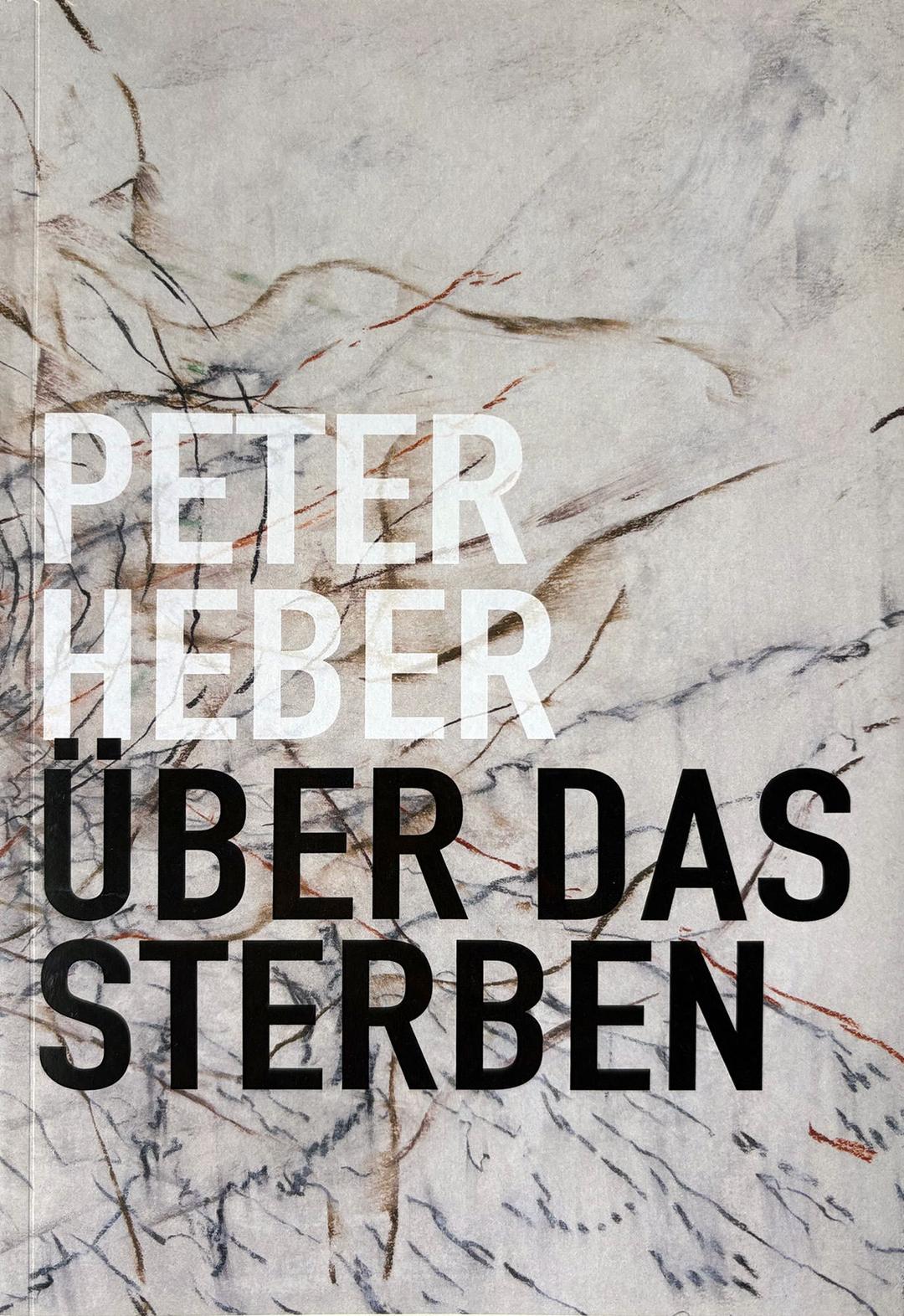 Beitrag "Peter Heber »Über das Sterben«, Sprengel Museum Hannover" - Thumbnail